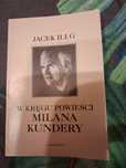 W kręgu powieści Milana Kundery, Jacek Illg