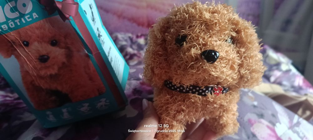 Sprzedam pieska chodzący