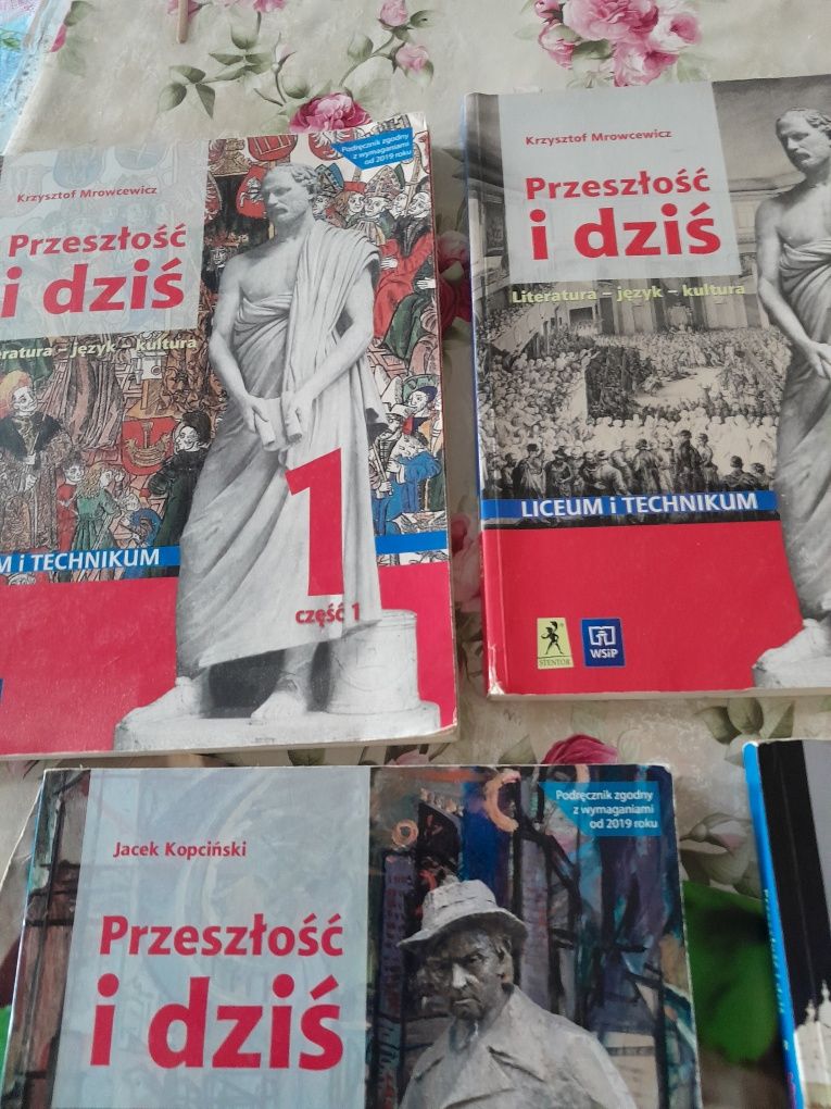 Podręcznik przeszłość I dziś język polski