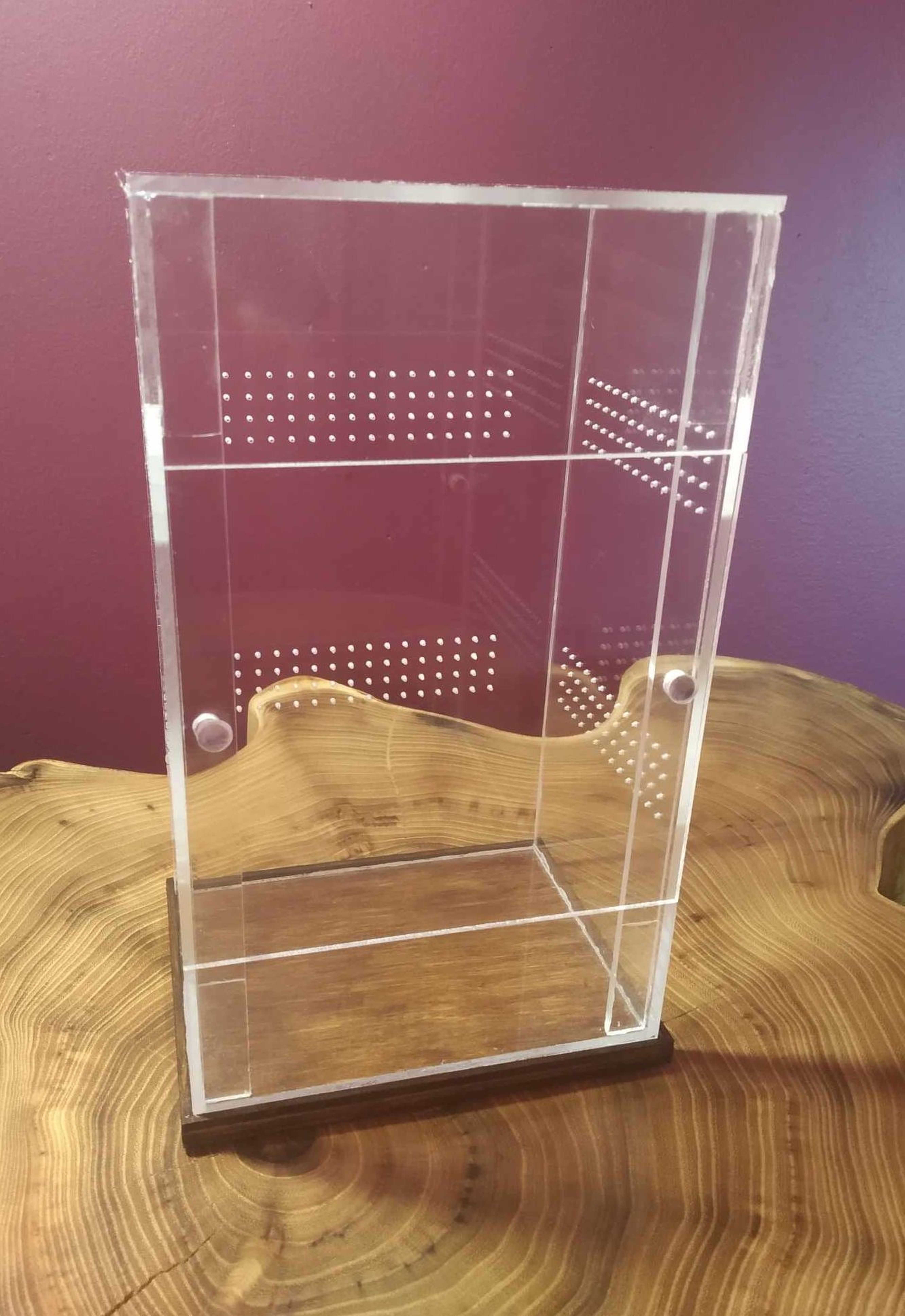 Terrarium z drewnianym stojakiem. Terrarium dla pająków, modliszek itp