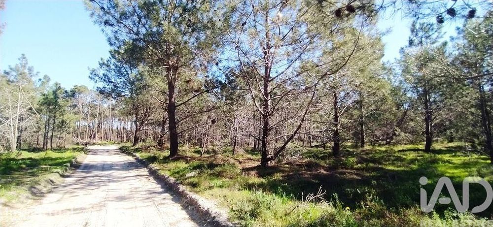 Terreno T1 em Vila do Bispo e Raposeira de 344887,00 m2