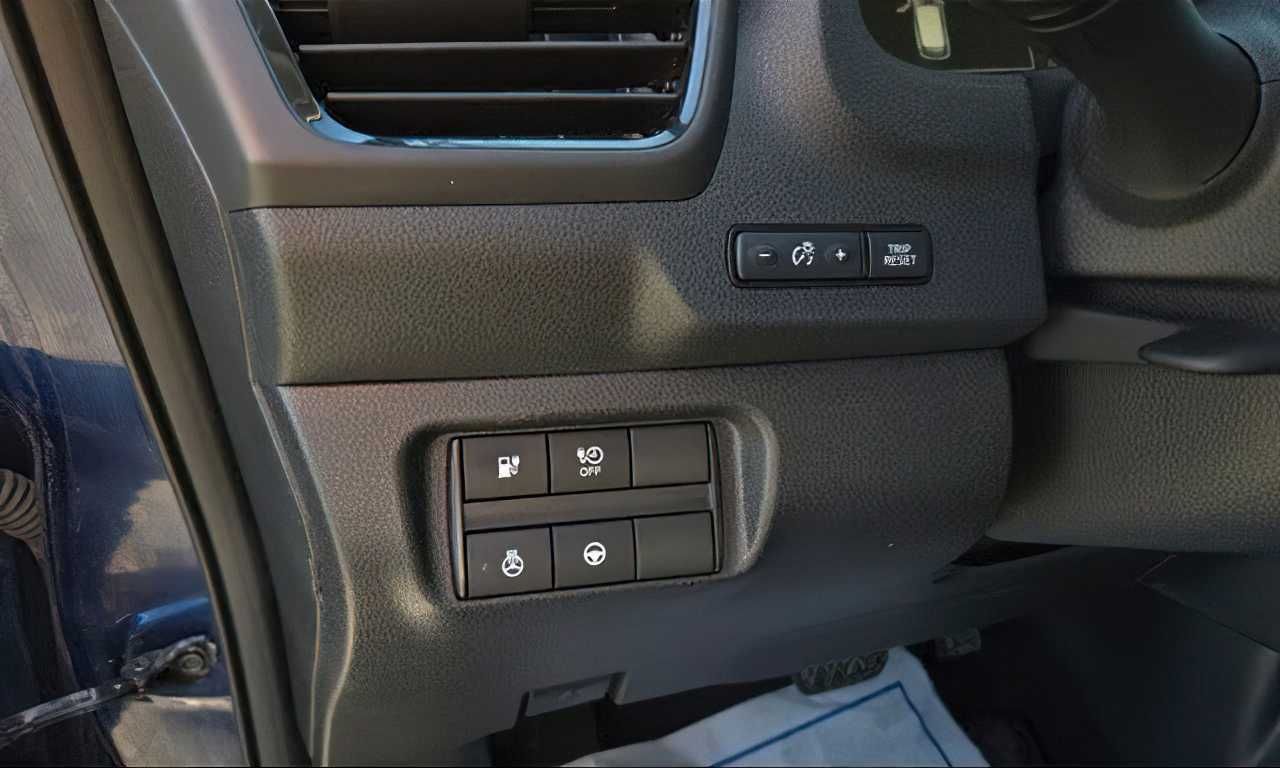Nissan Leaf SL Plus      2020