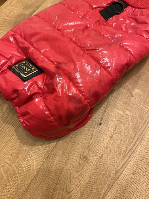 Ubranko dla psa plus gratis