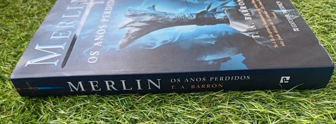 Merlin e os anos perdidos