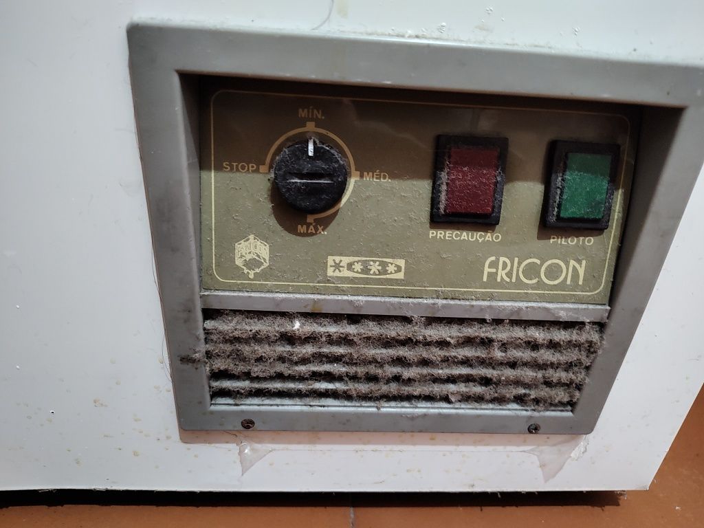 Arca congeladora Fricon