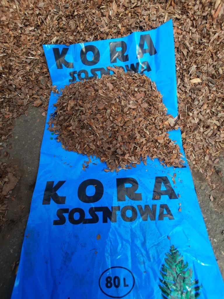 PRODUCENT Kora sosnowa 80L bardzo ładna dostawa gratis.
