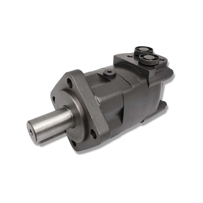 SILNIK Hydrauliczny BMS SMS OMS 100cm3 ALSG3 GR3 [4212]