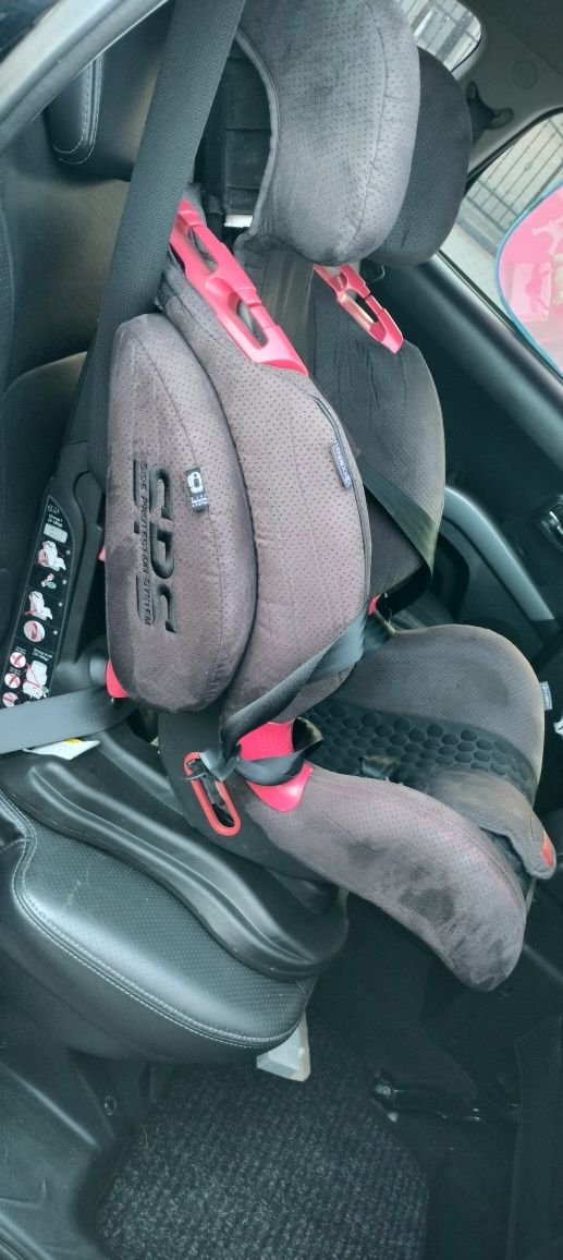 Fotelik Costello Sportivio