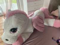 Duzy mis kon nowy