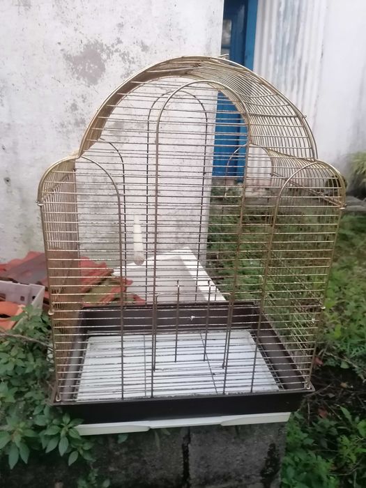 Vendo gaiola para pássaros de médio porte