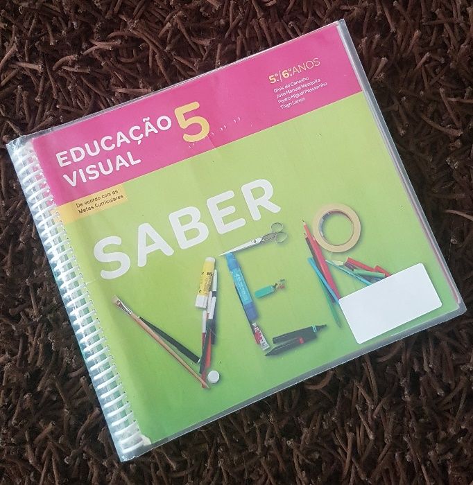 Livro de Educação Visual- SABER VER - 5 e 6º Ano