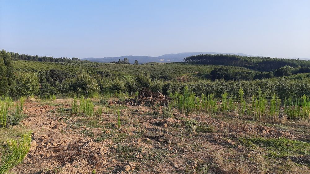Terreno com 2.500 m²