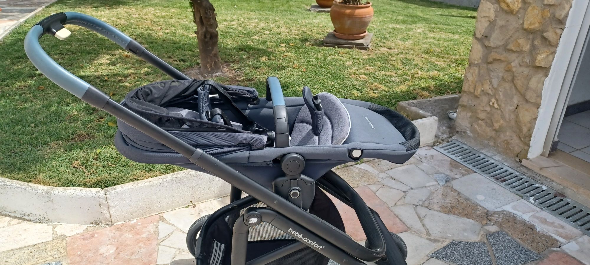 Carrinho de passeio e ovinho