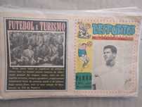 Suplemento do Cavaleiro andante