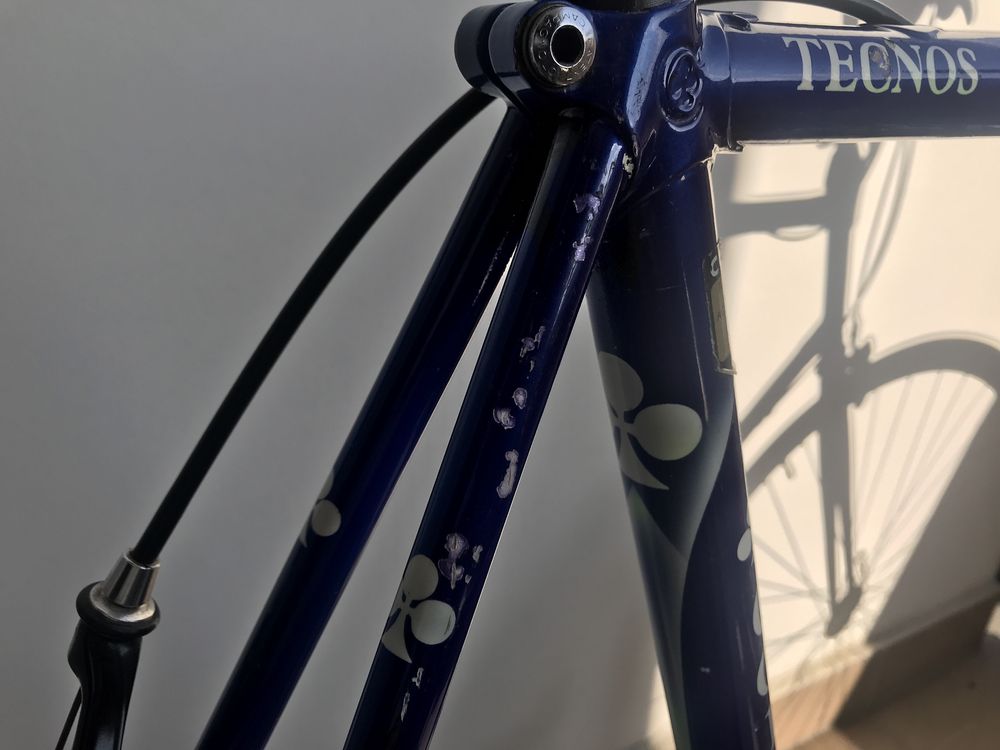 Rower Colnago Tecnos Campagnolo Record