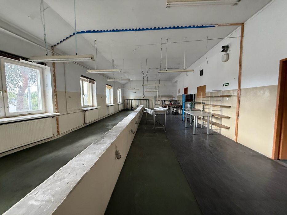 Wynajem powierzchni produkcyjna, magazynowa, biurowa, mieszkalna 800m2