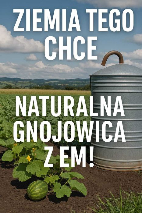 Gnojowica, nawóz naturalny z dodatkiem EM (efektywne mikroorganizmy)