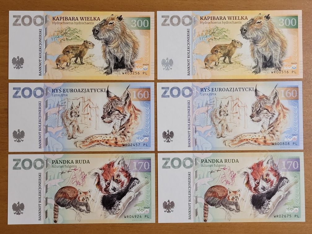 Banknoty kolekcjonerskie Zoo Wrocław ZOOLAR dwa różne warianty