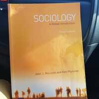 Sociology. A Global Introduction. Socjologia  praca mgr badania