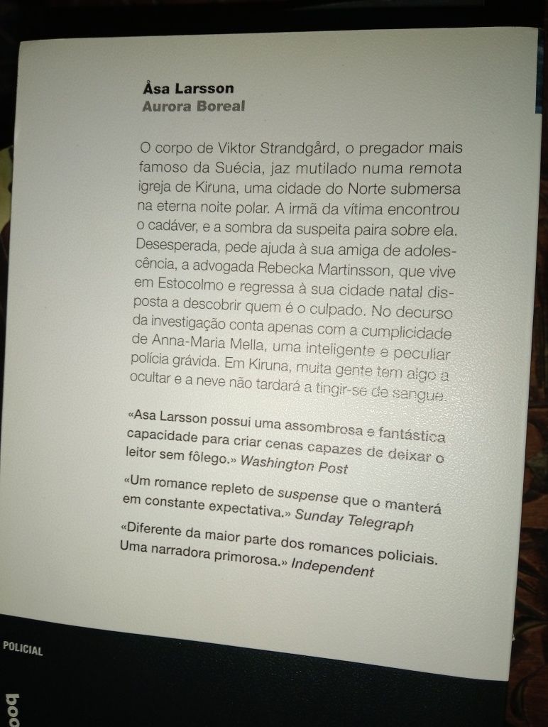 Aurora Boreal Asa Larsson