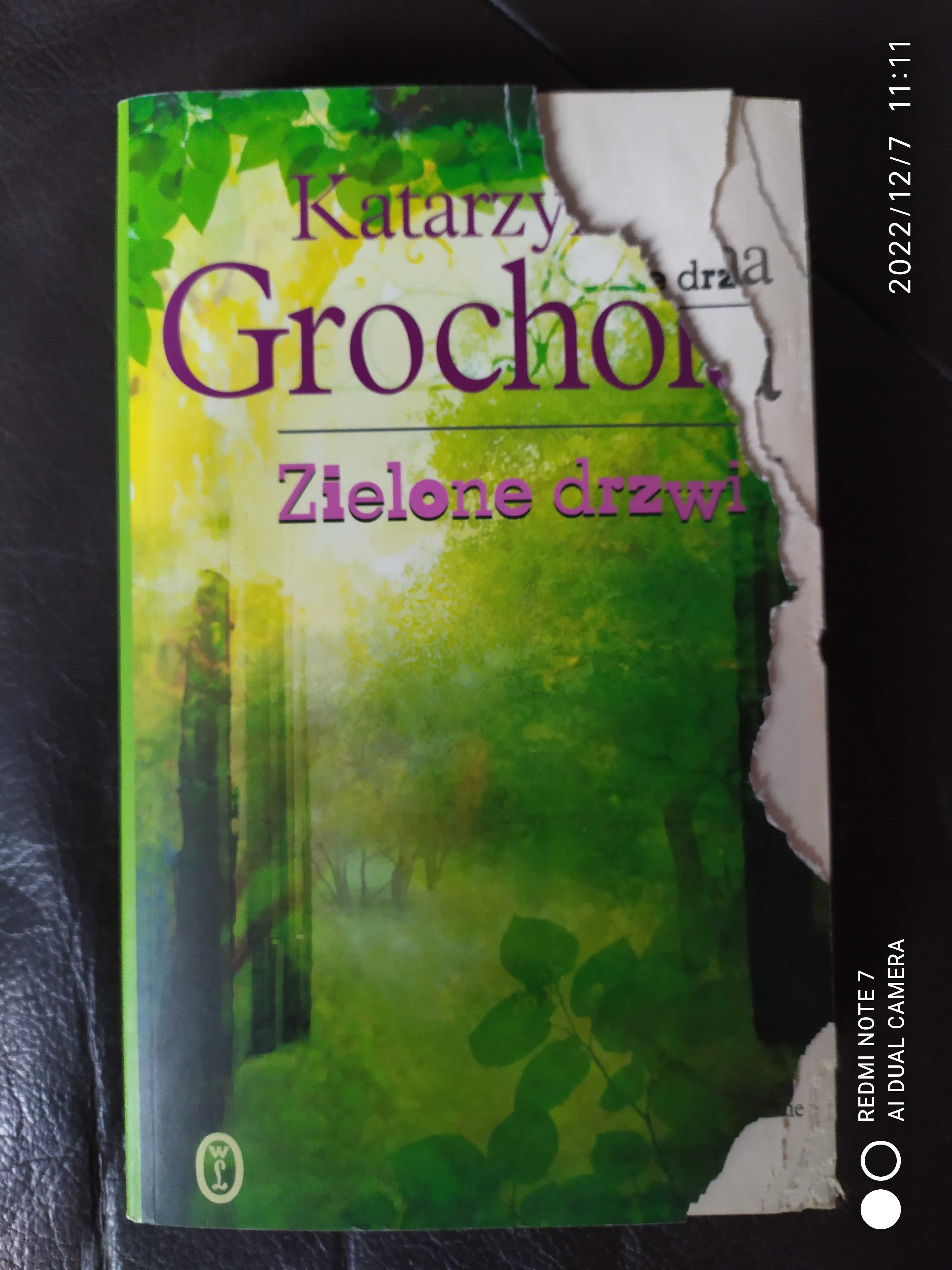 Zielone drzwi Katarzyna Grochola książka