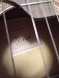 Акустична гітара Trembita