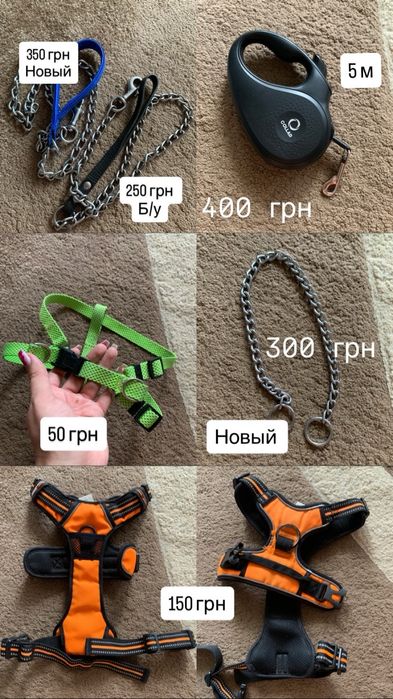 Принадлежности для собак