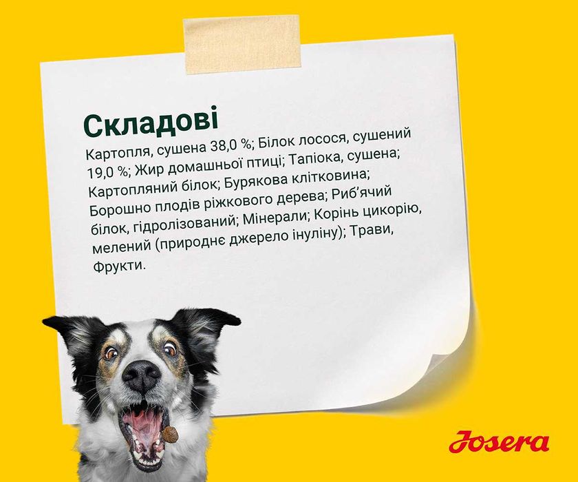 JOSERA Lachs & Kartoffel 12,5кг Корм з лососем для собак