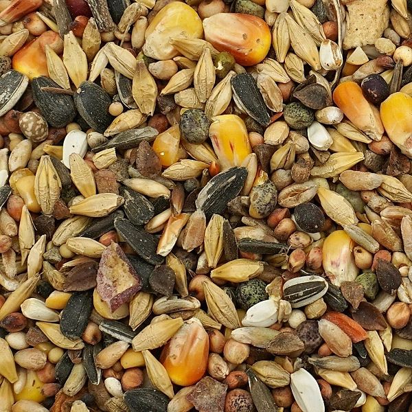 20kg Uniwersalna karma dla ptaków ziarno pokarm zimowy karmnik Champi