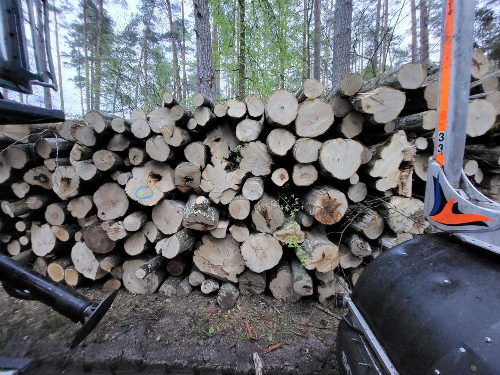 Drewno opalowe w walku 2,5m z dostawa gratis