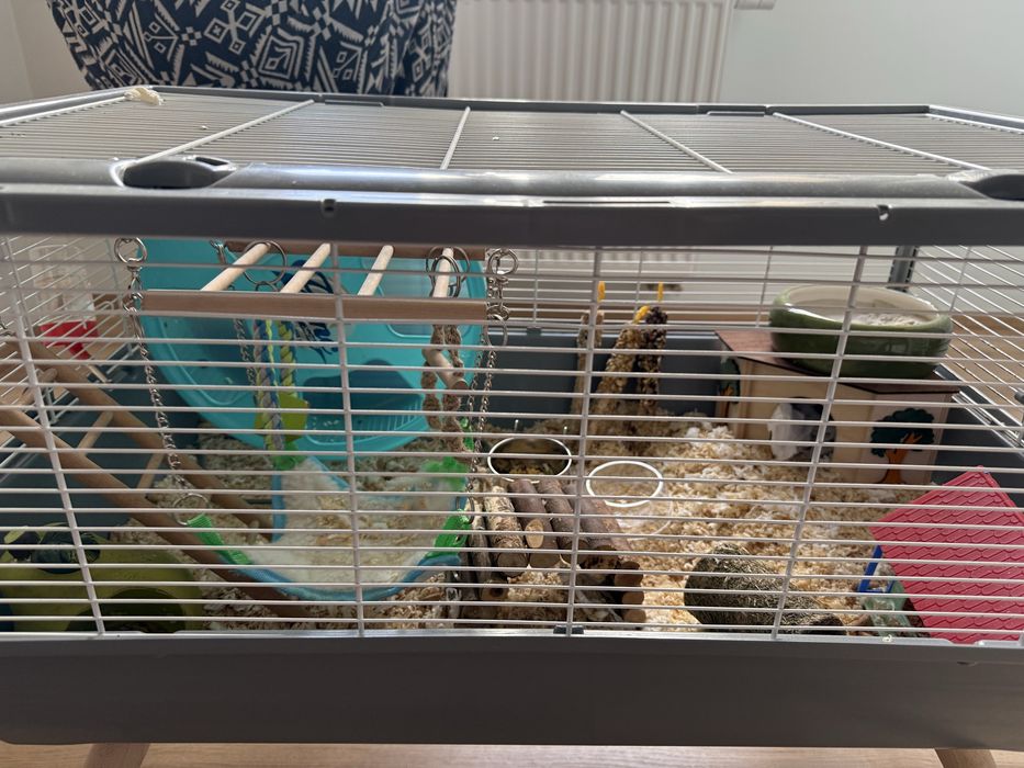 Klatka akcesoria i jedzonko dla chomika syryjskiego