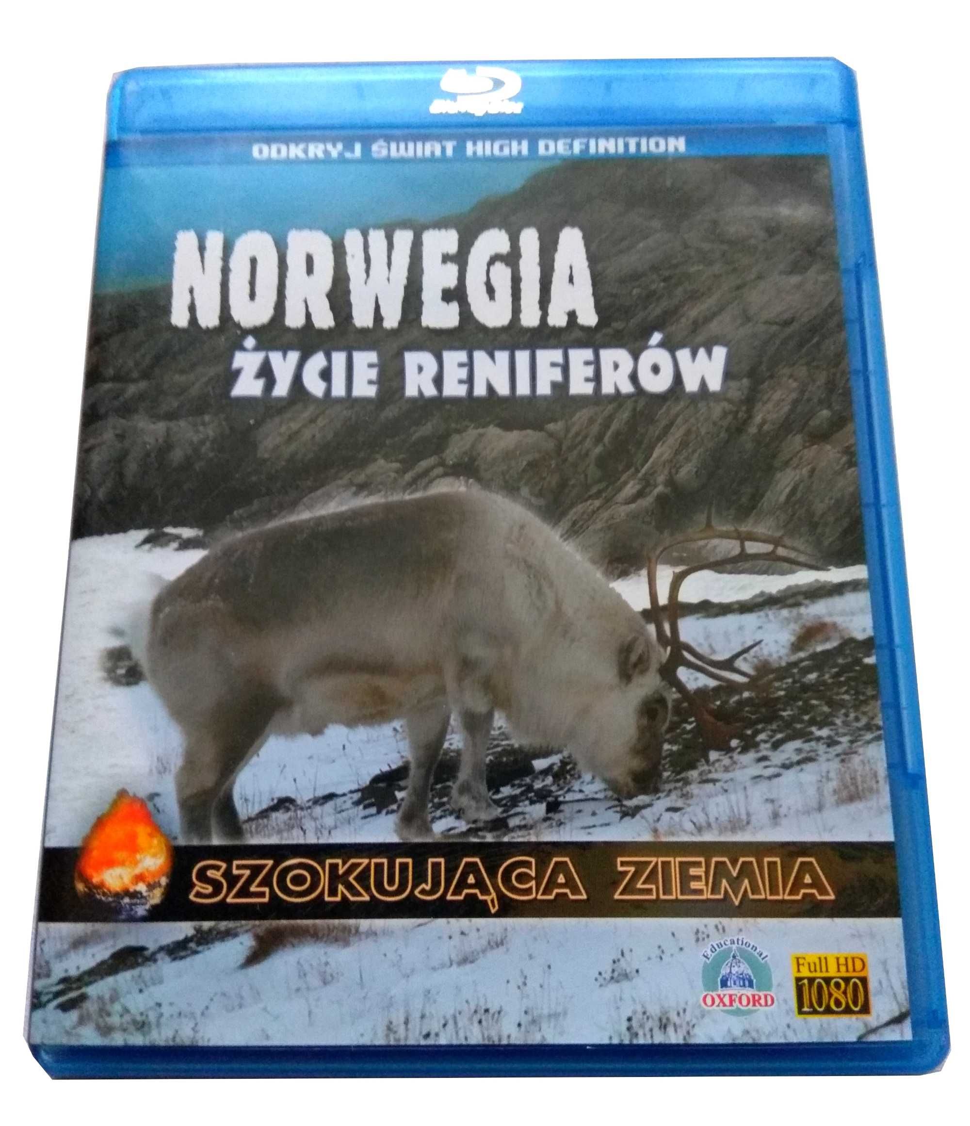 Film DVD / Bluray - Norwegia - Życie reniferów - (2008r.)