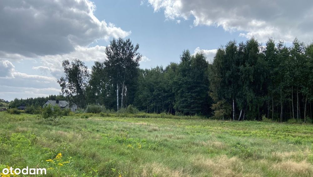 Sprzedam nieruchomość inwestycyjną