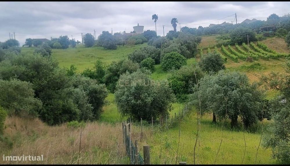 Terreno Urbano à Venda – Brogueira, Torres Novas