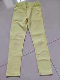 Spodnie Treginsy Endo 122 cm