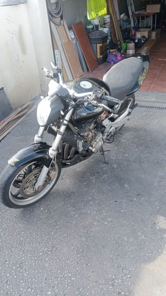 Hornet 600 67 kW