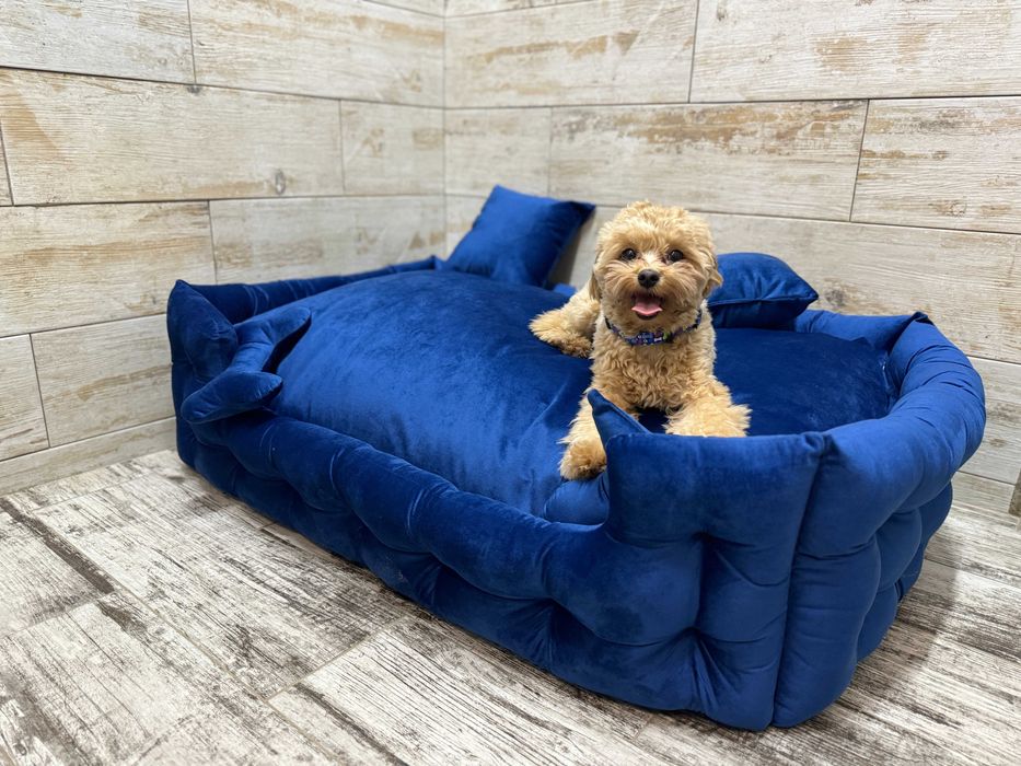 Готель для собак, Пансіон, Зооготель Стоянка Білогородка Чайка