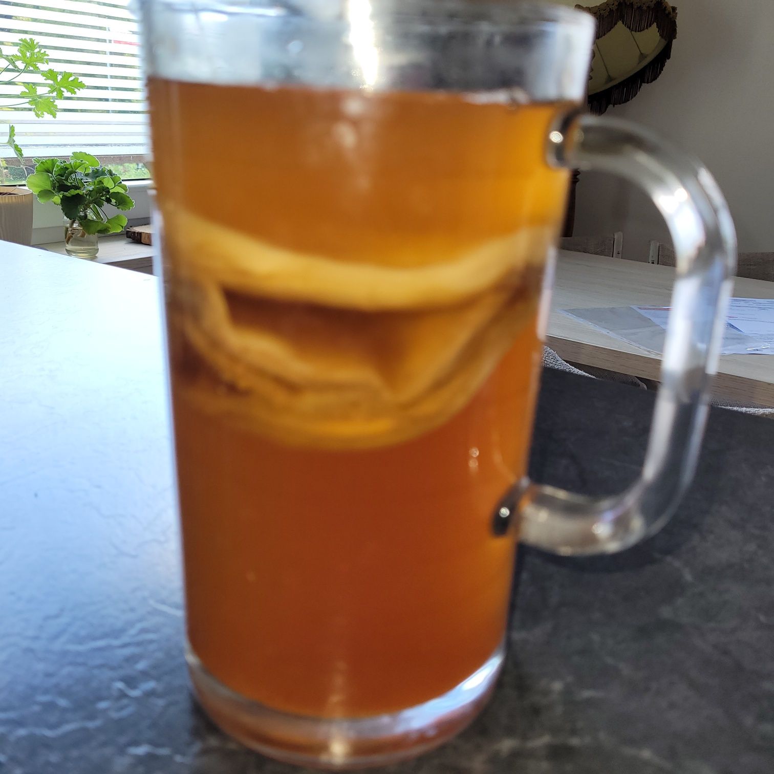 Kombucha,  Kombucha ze starterem