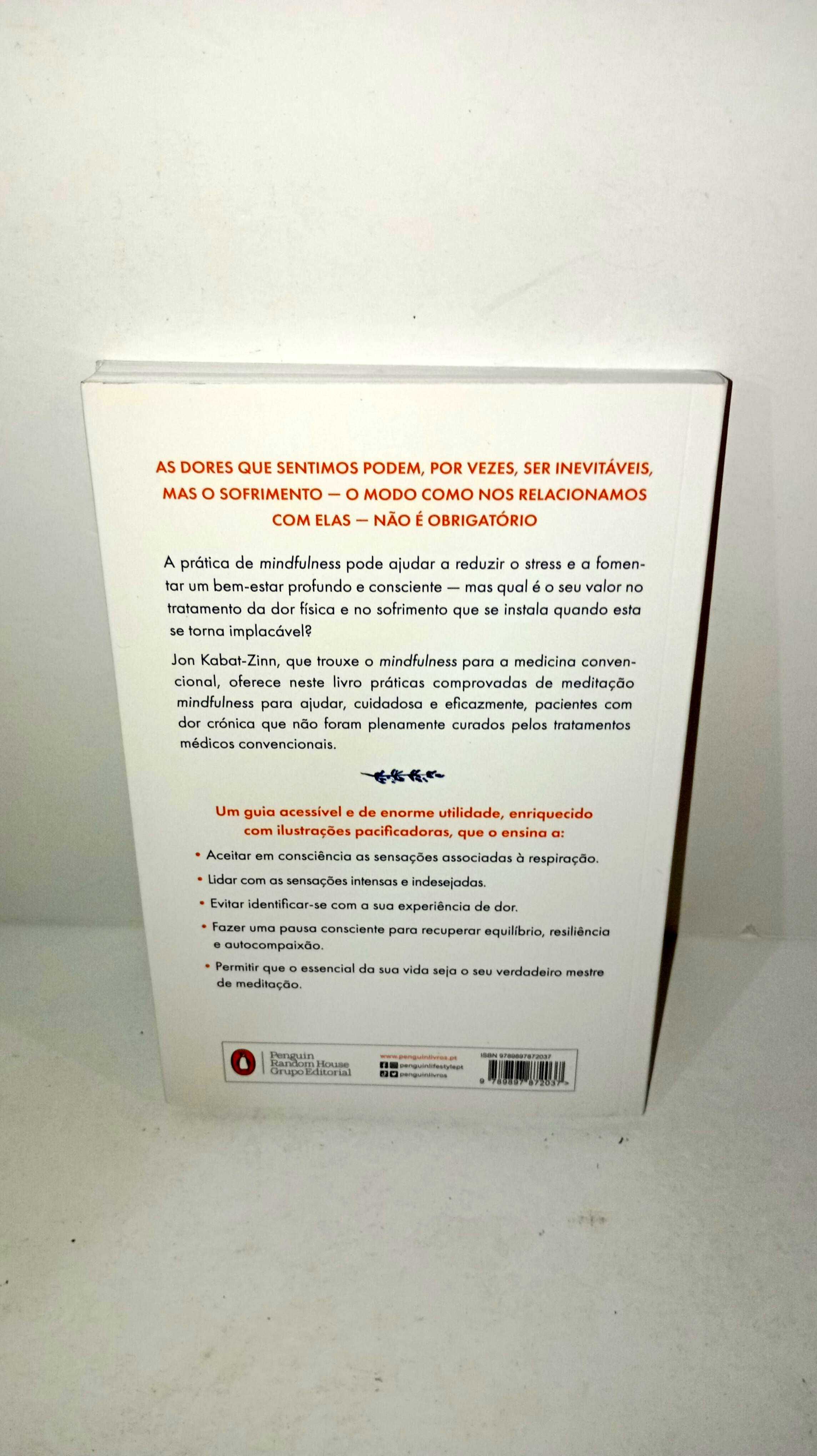 Mindfulness para o Alívio da Dor