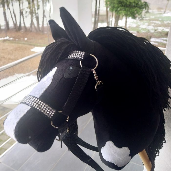 Hobby Horse-koń na kiju