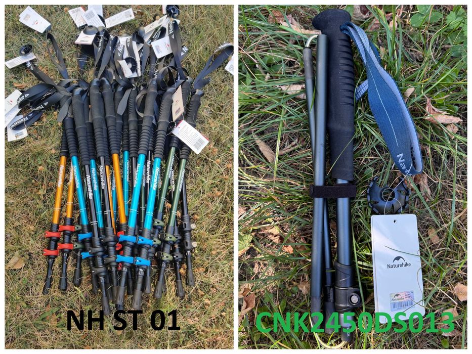 Палки трекінгові туристичні Naturehike ST 01, 10, CNK2450DS013