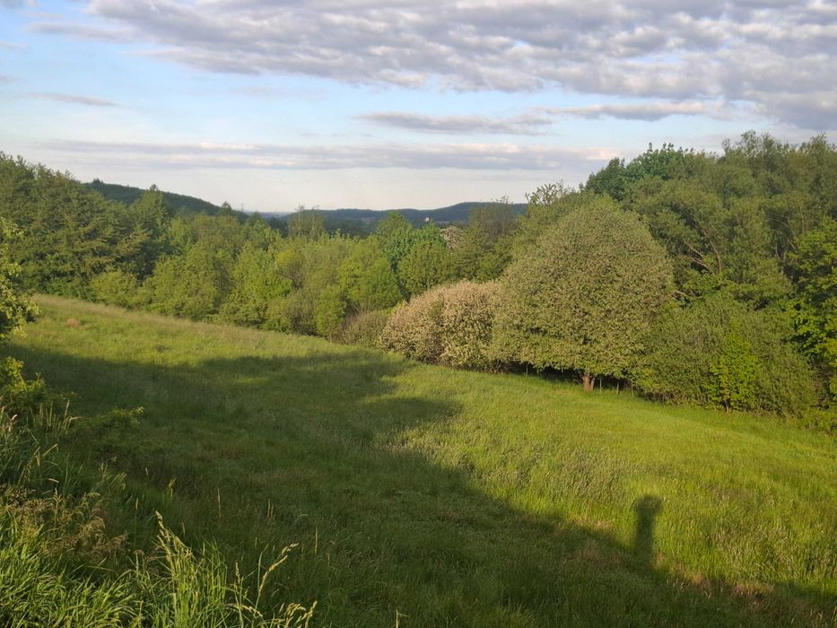 Sprzedam działkę  budowlaną w Bolkowie