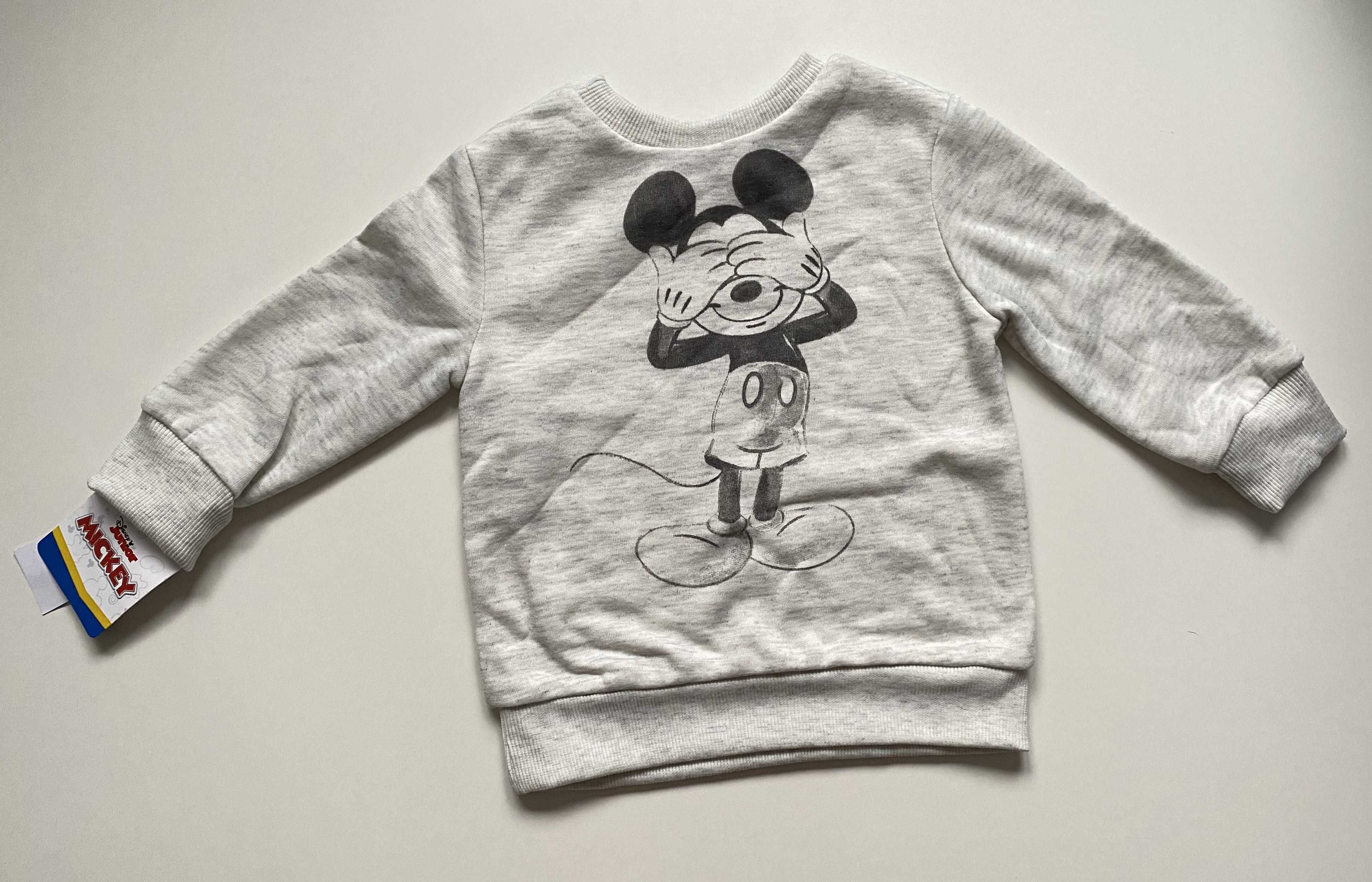 Bluza (2l) Disney