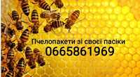 Продам бджолосім'ї пчелосемьи із своєї пасіки