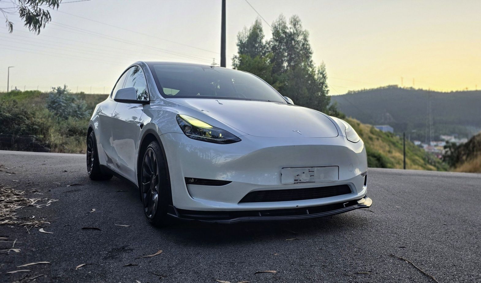 TESLA Model Y Long Range Performance  534cvs AWD