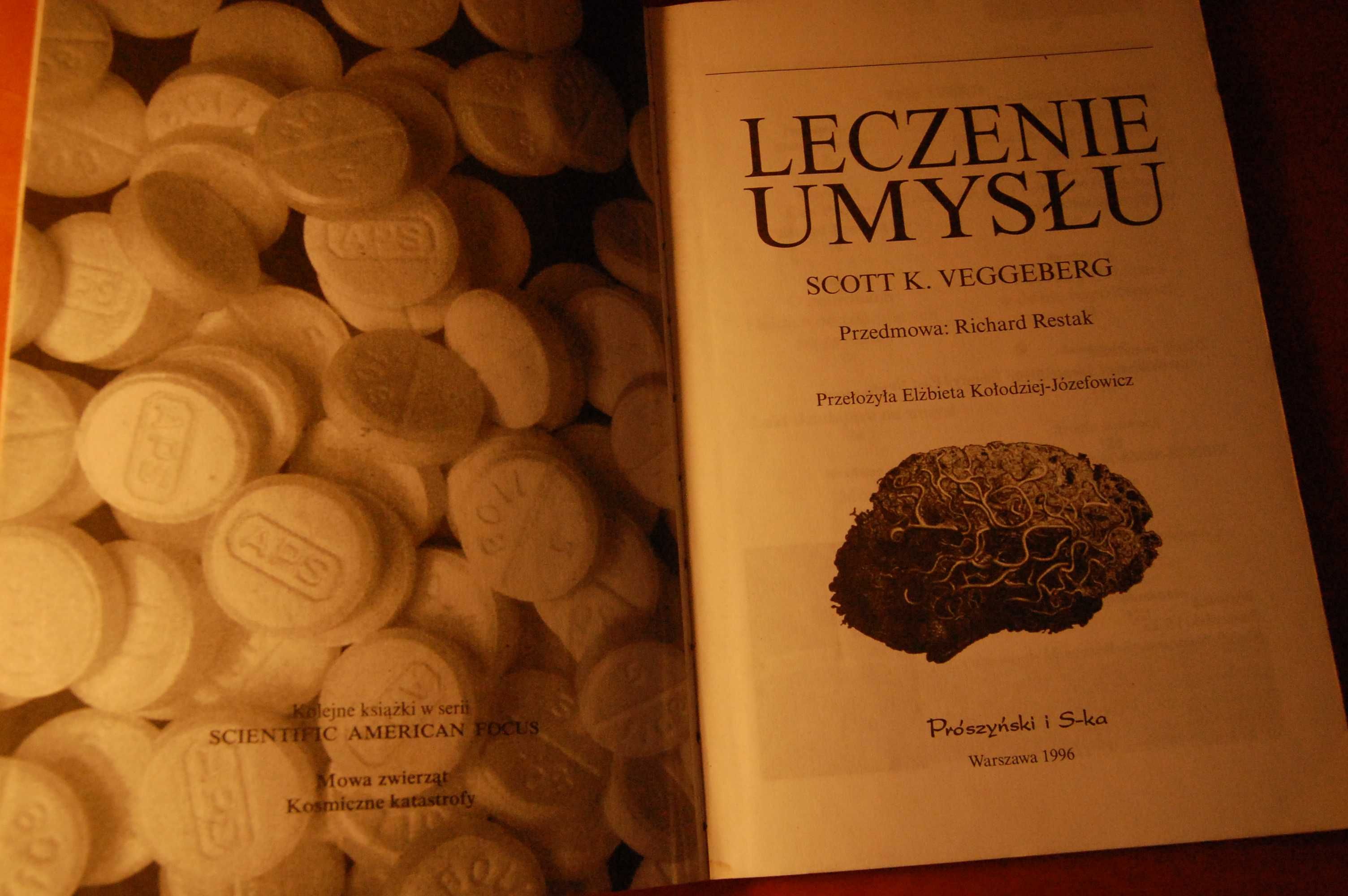 Leczenie umysłu. Scott K. Veggeberg