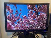 Monitor LG 19 polegadas