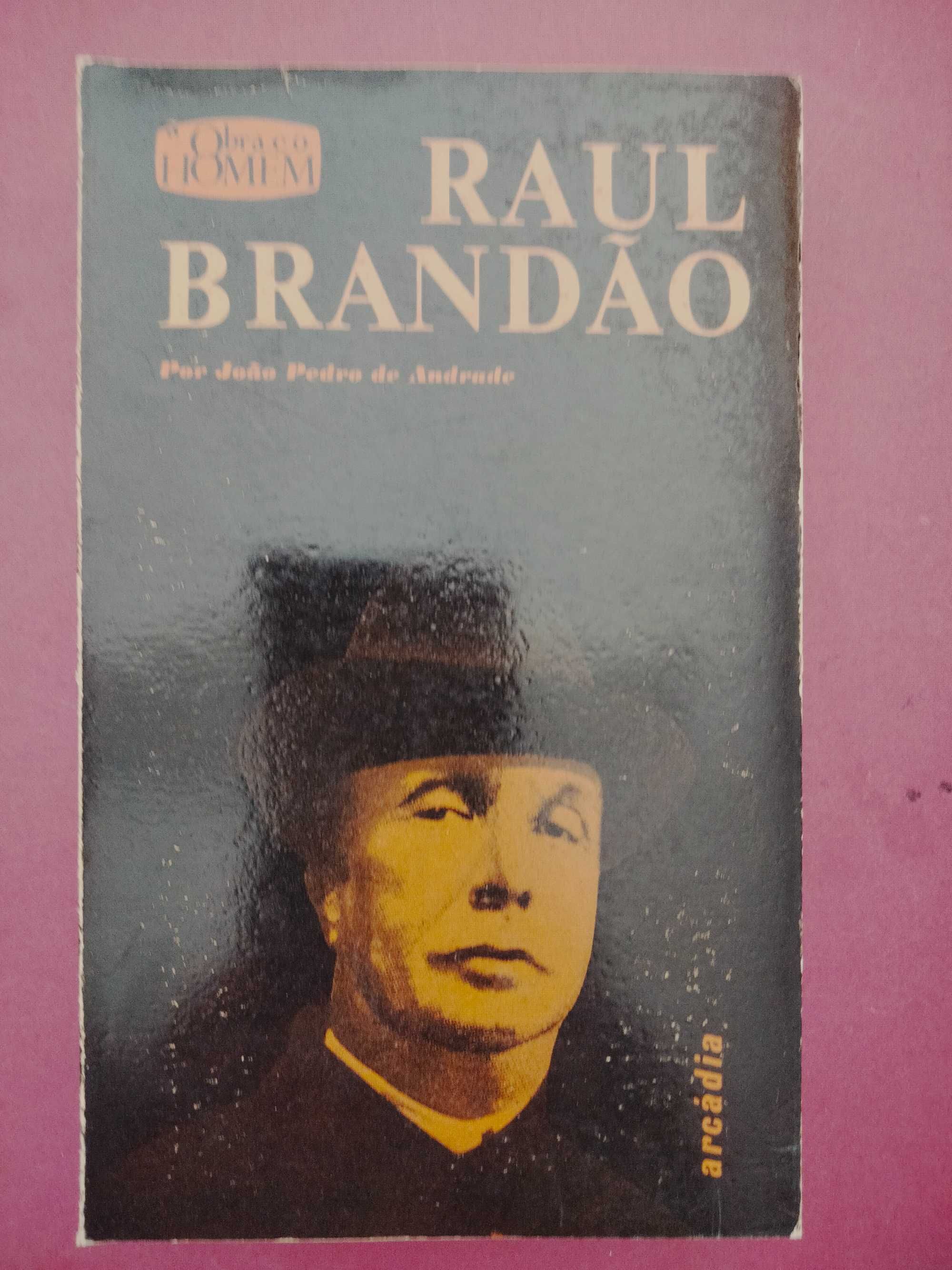 A Obra e o Homem - Raul Brandão - João Pedro Andrade