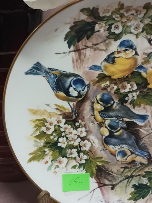 Hutschenreuther Ursula Band bradex kolekcjonerski ptaki