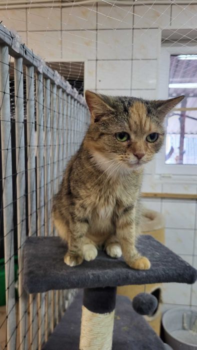 Rozmruczana piękność Zocha marzy o własnych kolankach